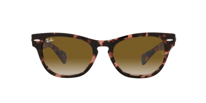 Sonnenbrillen Ray-Ban Laramie RB 2201 (133451) farbe pink havana form unregelmäßig gläser clear gradient brown