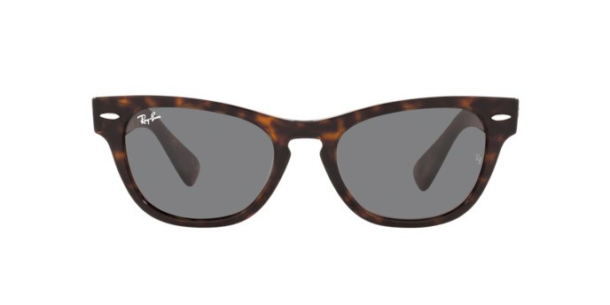 Sonnenbrillen Ray-Ban Laramie RB 2201 (902/B1) farbe tortoise form unregelmäßig gläser dark grey