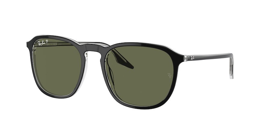 Occhiali da sole Ray-Ban RB 2203 (919/58) colore nero su trasparente forma quadrato lenti verde