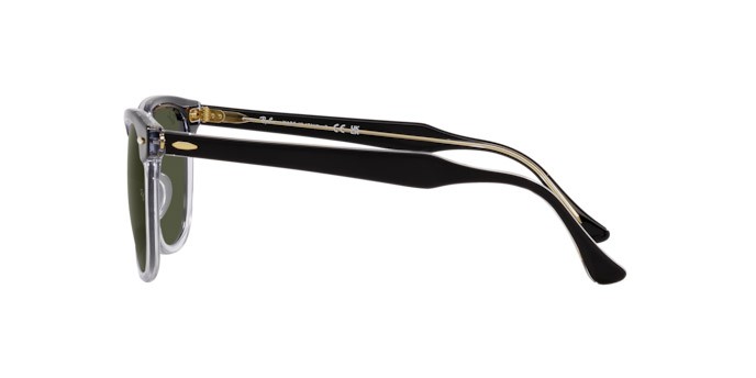 Sonnenbrillen Ray-Ban Eagle Eye RB 2398 (129431) farbe nero su trasparente form quadratisch gläser verde