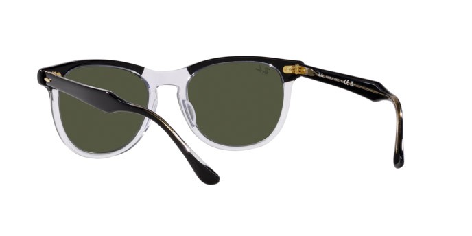 Sonnenbrillen Ray-Ban Eagle Eye RB 2398 (129431) farbe nero su trasparente form quadratisch gläser verde