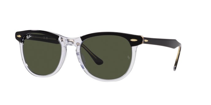 Sonnenbrillen Ray-Ban Eagle Eye RB 2398 (129431) farbe nero su trasparente form quadratisch gläser verde