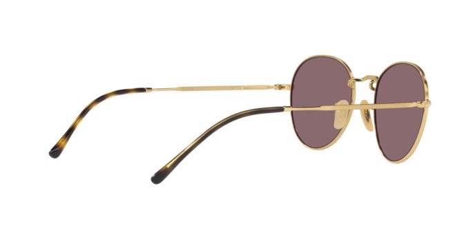 Occhiali da sole Ray-Ban David RB 3582 (001/AF) colore arista forma pantos lenti dark violet polar