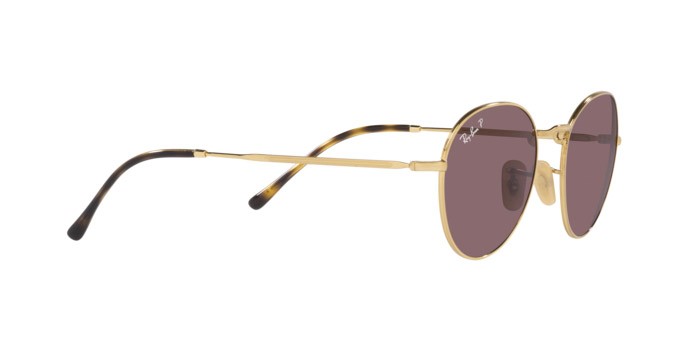 Occhiali da sole Ray-Ban David RB 3582 (001/AF) colore arista forma pantos lenti dark violet polar