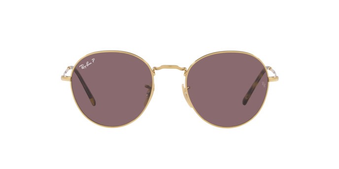 Occhiali da sole Ray-Ban David RB 3582 (001/AF) colore arista forma pantos lenti dark violet polar