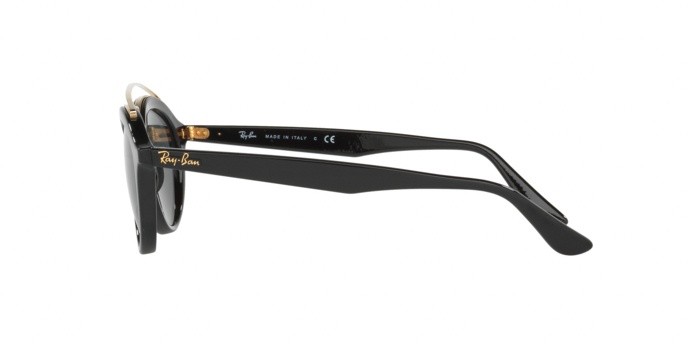Sonnenbrillen Ray-Ban New gatsby ii RB 4257 (601/71) farbe black form pantos gläser dark green