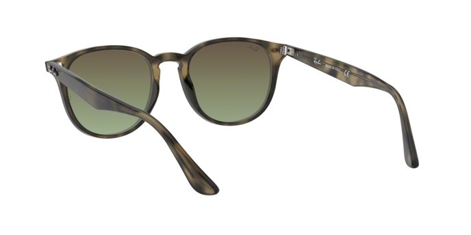Sonnenbrillen Ray-Ban RB 4259 (731/E8) farbe havana grey form unregelmäßig 