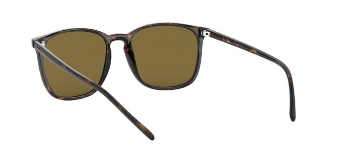 Sonnenbrillen Ray-Ban RB 4387F (902/73) farbe havana form quadratisch gläser brown