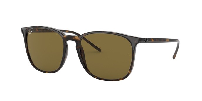 Sonnenbrillen Ray-Ban RB 4387F (902/73) farbe havana form quadratisch gläser brown