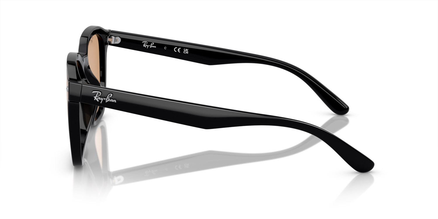 Sonnenbrillen Ray-Ban RB 4392D (601/93) farbe nero form quadratisch gläser marrone