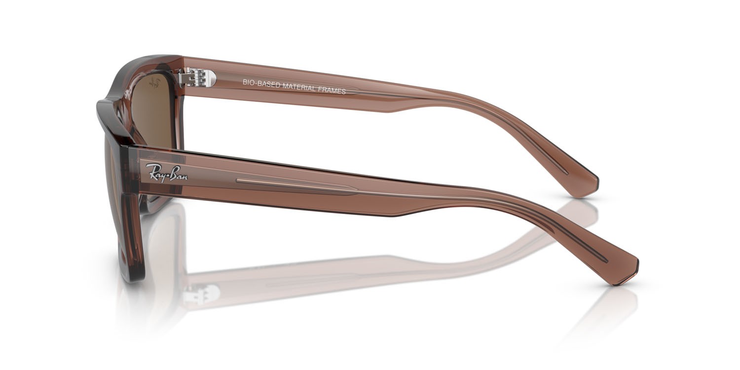 Occhiali da sole Ray-Ban Warren RB 4396 (667873) colore marrone trasparente forma rettangolare lenti marrone scuro