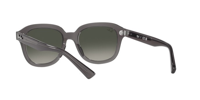 Sonnenbrillen Ray-Ban Erik RB 4398 (667571) farbe grigio scuro opalino form quadratisch gläser grigio