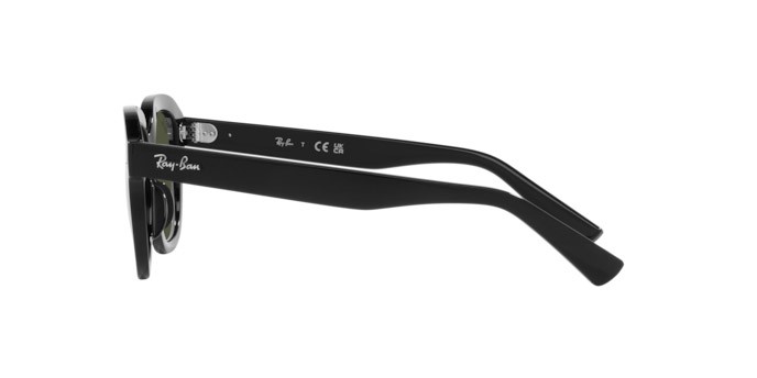 Sunglasses Ray-Ban Erik RB 4398 (901/31) color nero shape square lenses verde