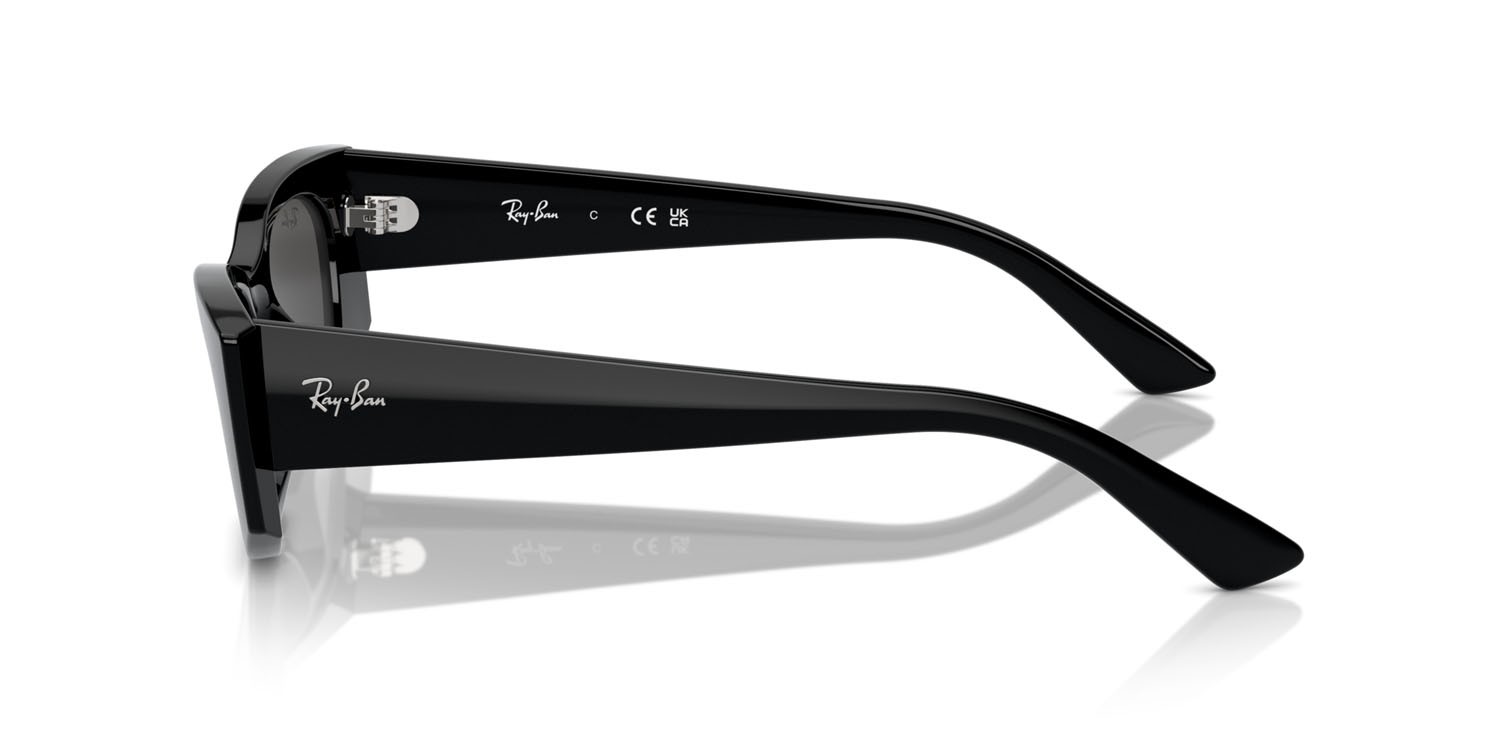 Sunglasses Ray-Ban Kat RB 4427 (667787) color nero shape irregular lenses grigio scuro
