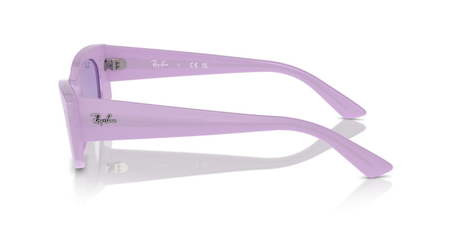 Sunglasses Ray-Ban Kat RB 4427 (67581A) color lilla shape irregular lenses viola