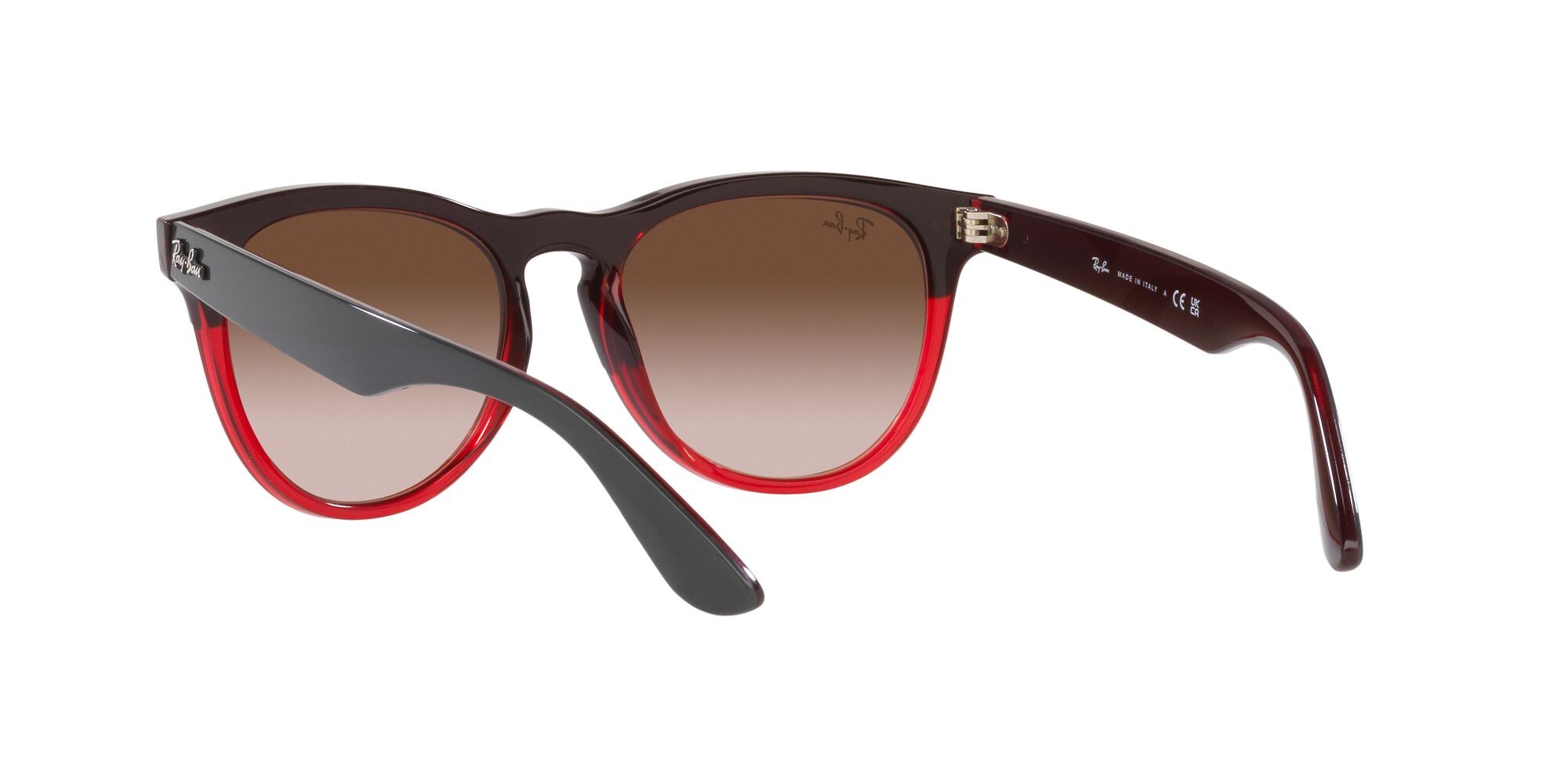 Sonnenbrillen Ray-Ban Iris RB 4471 (663113) farbe grey on transparent red form pantos gläser marrone sfumato
