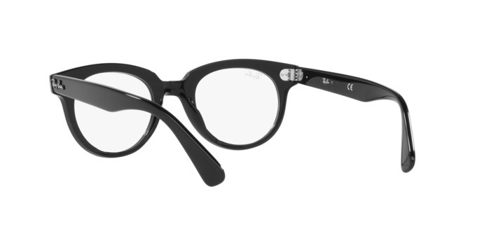 Brillen Ray-Ban RX 2199V (2000) - RB 2199V 2000 farbe black form pantos gläser demo lens