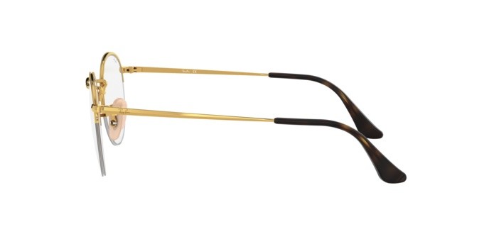 Occhiali da vista Ray-Ban Round Gaze RX 3947V (2500) - RB 3947V 2500 colore gold forma pantos lenti demo lens