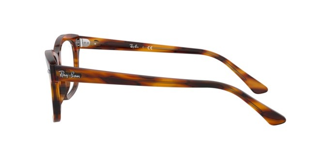 Brillen Ray-Ban Mr Burbank RX 5383 (2144) - RB 5383 2144 farbe stripped red havana form rechteckig gläser demo lens
