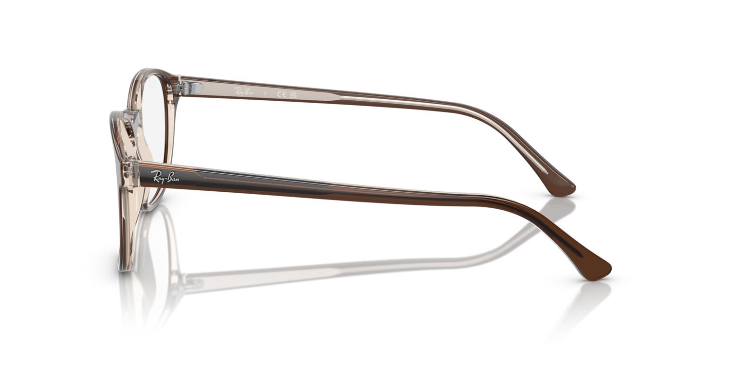 Occhiali da vista Ray-Ban RX 5417 (8365) - RB 5417 8365 colore brown on transparent light brown forma pantos lenti trasparente