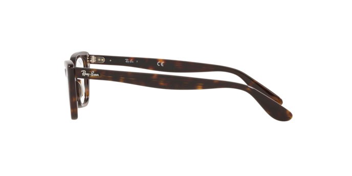 Eyeglasses Ray-Ban Lady Burbank RX 5499 (2012) - RB 5499 2012 color havana shape cat eye lenses demo lens