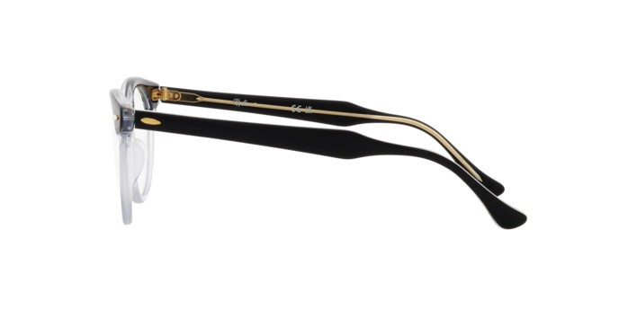 Brillen Ray-Ban Eagle Eye RX 5598 (2034) - RB 5598 2034 farbe nero su trasparente form quadratisch gläser trasparente
