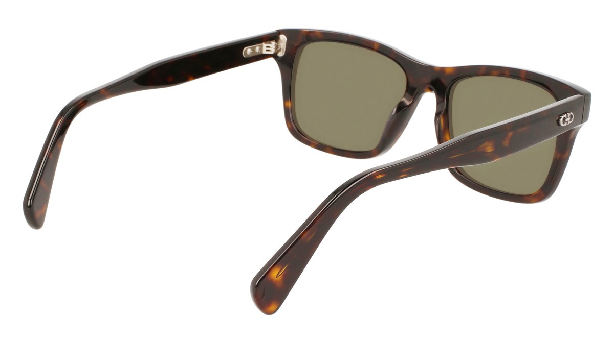 Sonnenbrillen Salvatore Ferragamo SF1039S (240) farbe tortoise form rechteckig 