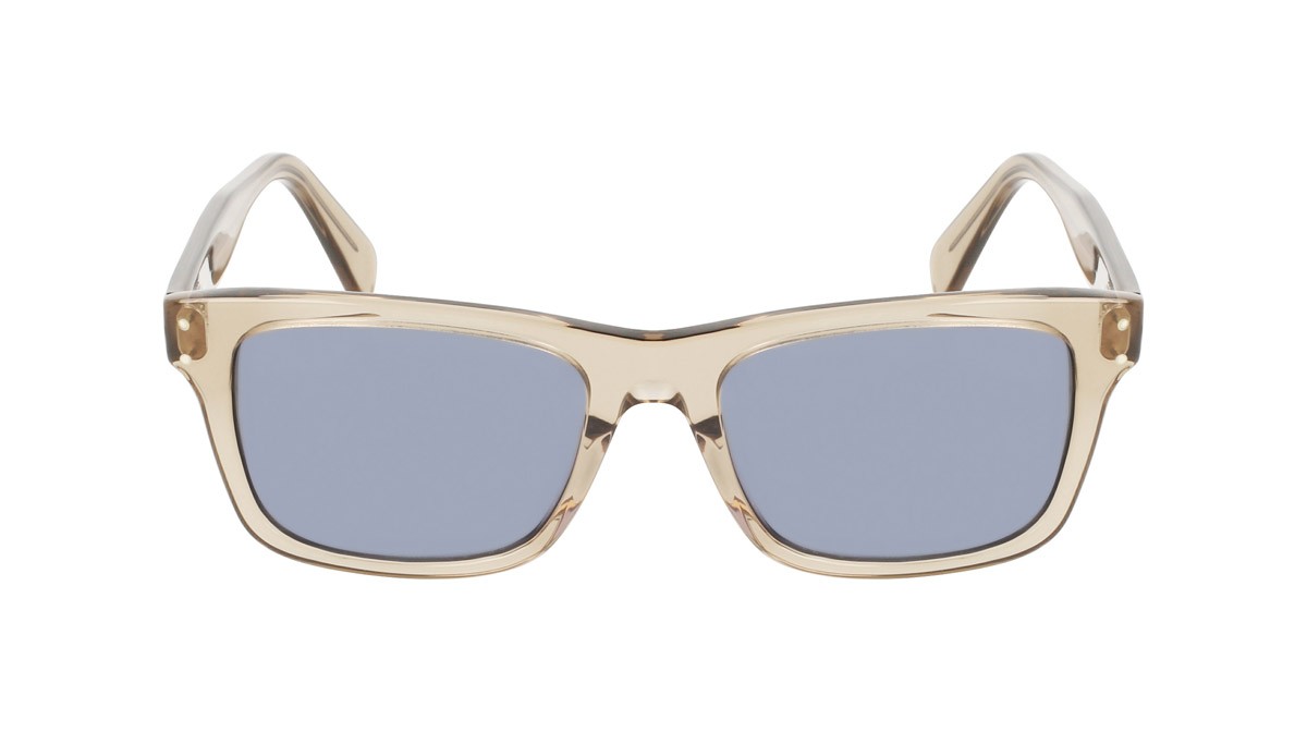 Sunglasses Salvatore Ferragamo SF1039S (278) color transparent sand shape rectangle 