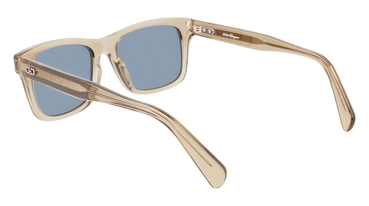 Sunglasses Salvatore Ferragamo SF1039S (278) color transparent sand shape rectangle 