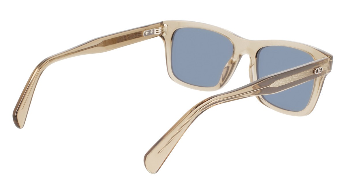 Sunglasses Salvatore Ferragamo SF1039S (278) color transparent sand shape rectangle 
