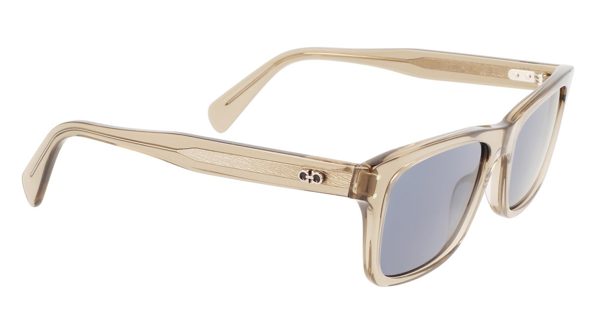 Sunglasses Salvatore Ferragamo SF1039S (278) color transparent sand shape rectangle 