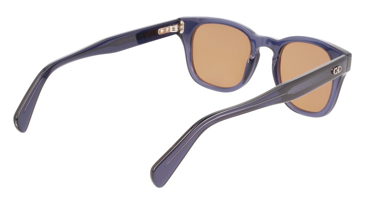 Sonnenbrillen Salvatore Ferragamo SF1057S (456) farbe blue transparent form rechteckig gläser solid brown