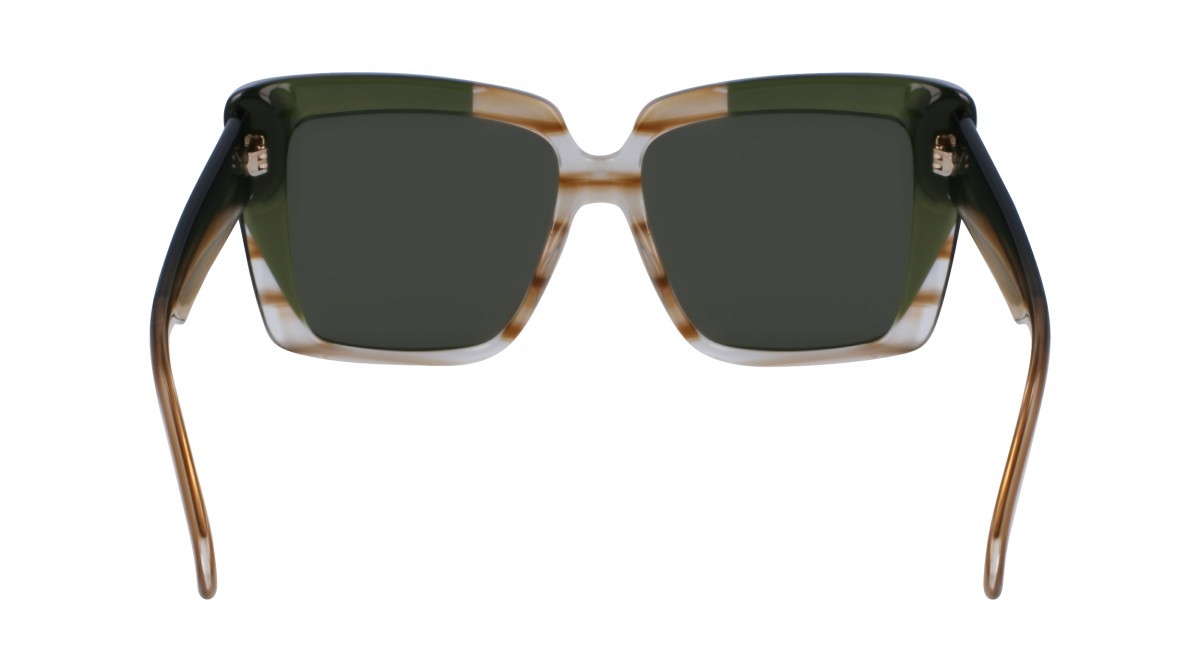 Sonnenbrillen Salvatore Ferragamo SF1060SN (263) farbe striped honey/khaki form rechteckig gläser solid green