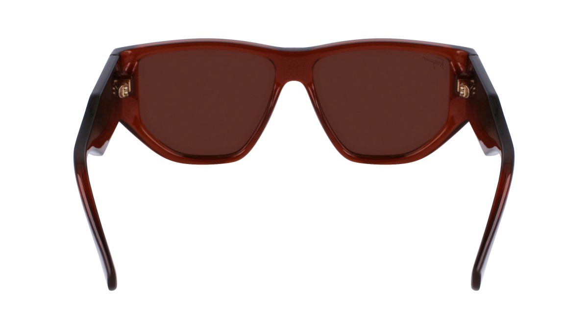 Sonnenbrillen Salvatore Ferragamo SF1077S (232) farbe transparent brown form rechteckig gläser solid brown
