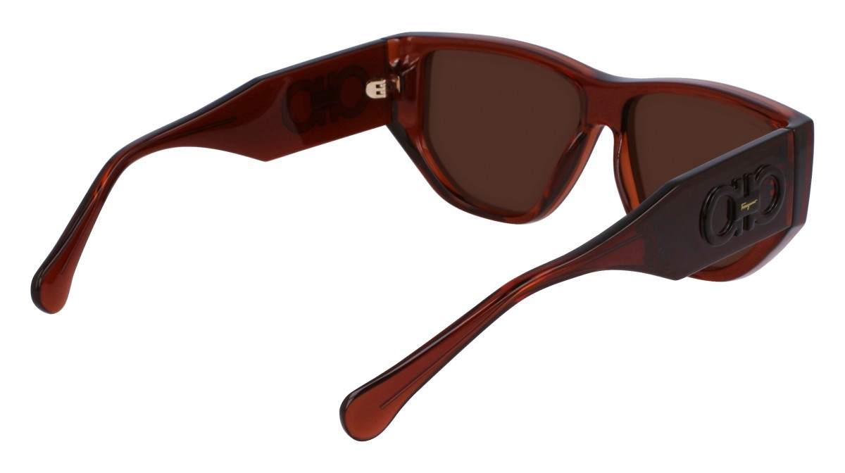 Sonnenbrillen Salvatore Ferragamo SF1077S (232) farbe transparent brown form rechteckig gläser solid brown