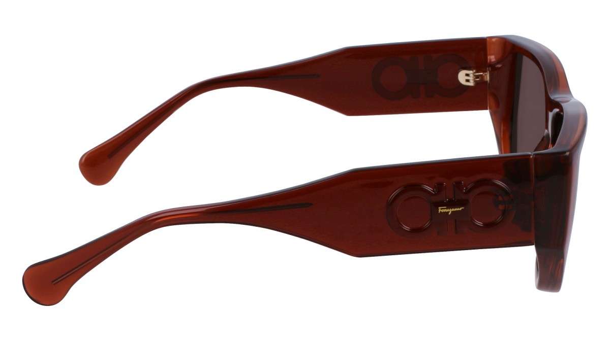 Sonnenbrillen Salvatore Ferragamo SF1077S (232) farbe transparent brown form rechteckig gläser solid brown