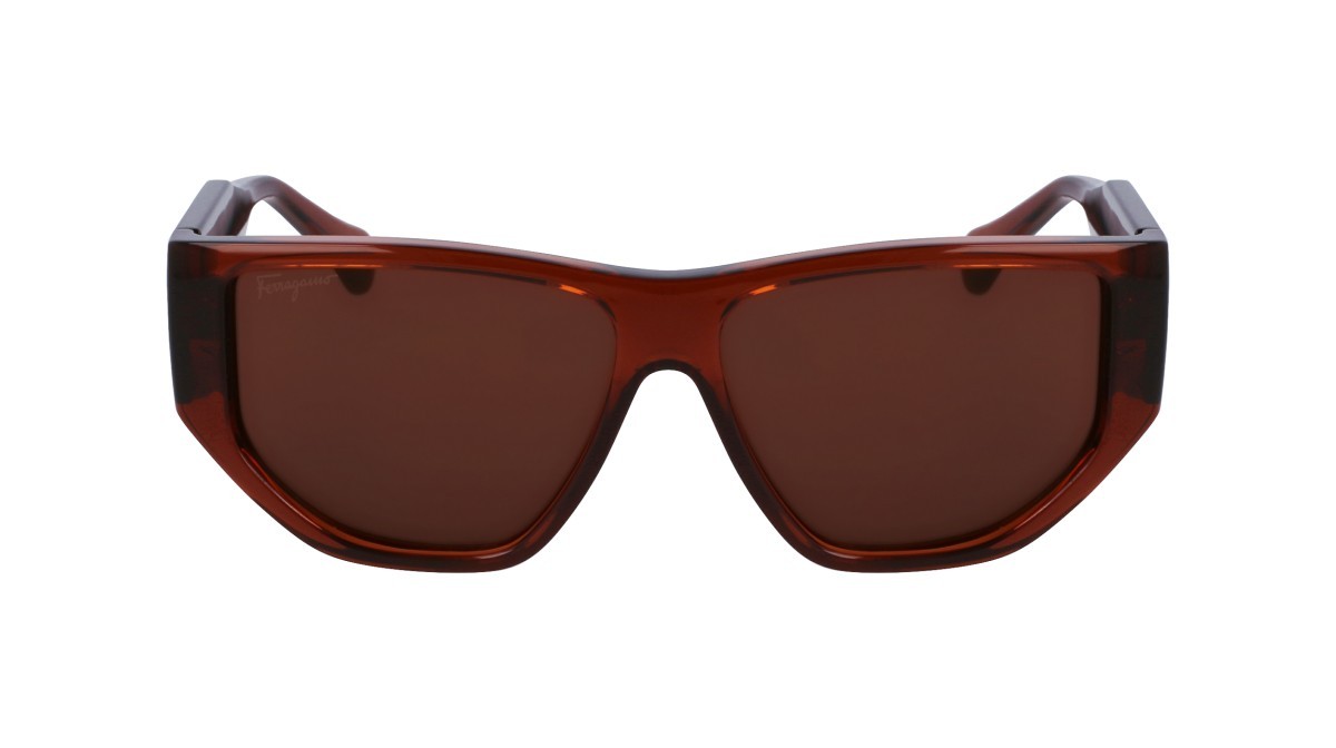 Sonnenbrillen Salvatore Ferragamo SF1077S (232) farbe transparent brown form rechteckig gläser solid brown