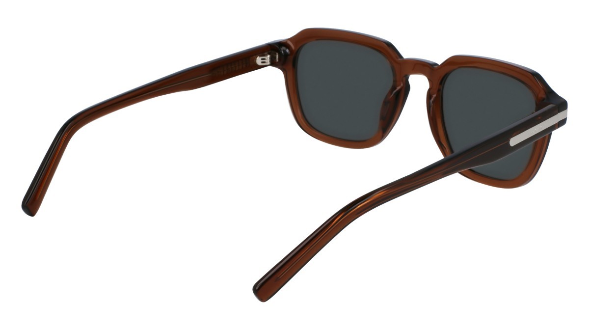 Sonnenbrillen Salvatore Ferragamo SF1089SN (278) farbe transparent brown form rechteckig gläser solid grey