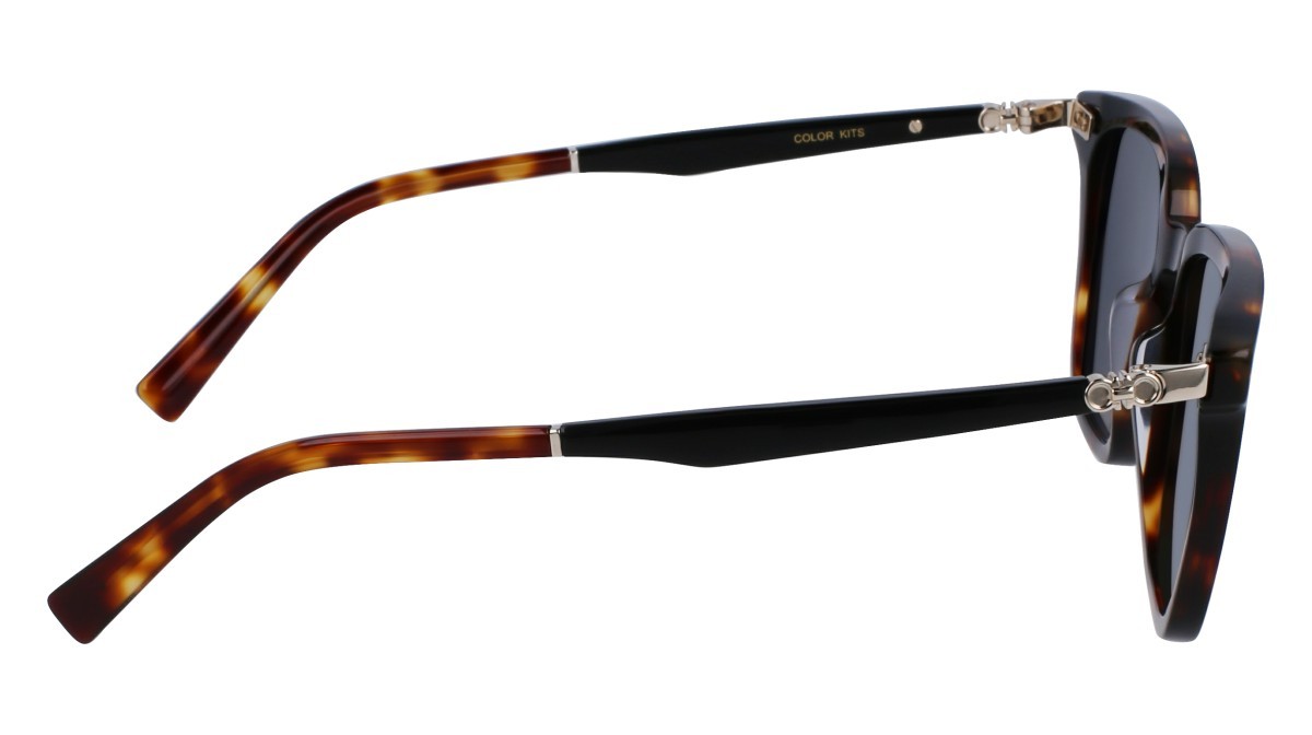 Sonnenbrillen Salvatore Ferragamo SF1100S (242) farbe dark tortoise form rechteckig gläser solid grey