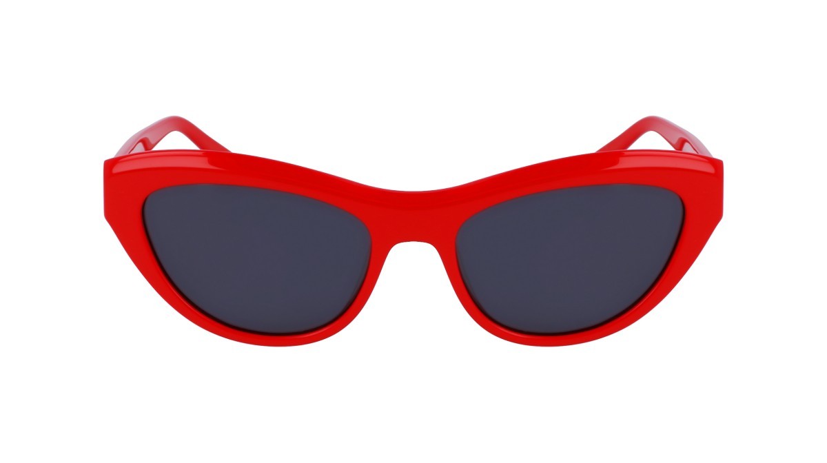 Sonnenbrillen Salvatore Ferragamo SF1103S (600) farbe red form cat-eye gläser solid grey