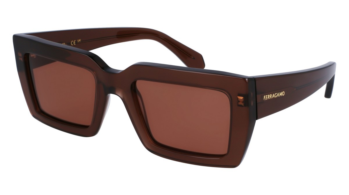 Sonnenbrillen Salvatore Ferragamo SF1108S (232) farbe transparent brown form rechteckig gläser solid brown