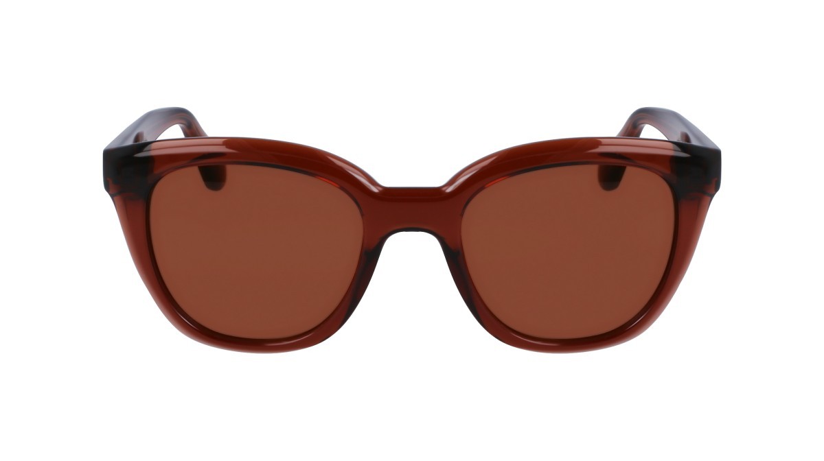 Sonnenbrillen Salvatore Ferragamo SF2000S (232) farbe transparent brown form pantos gläser solid brown