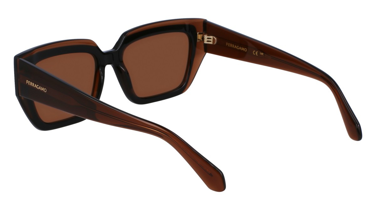 Sonnenbrillen Salvatore Ferragamo SF2002S (233) farbe transparent brown/brown form quadratisch gläser solid brown