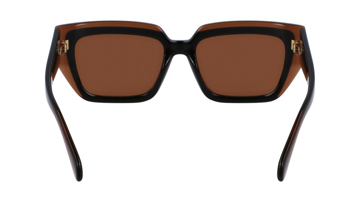 Sonnenbrillen Salvatore Ferragamo SF2002S (233) farbe transparent brown/brown form quadratisch gläser solid brown