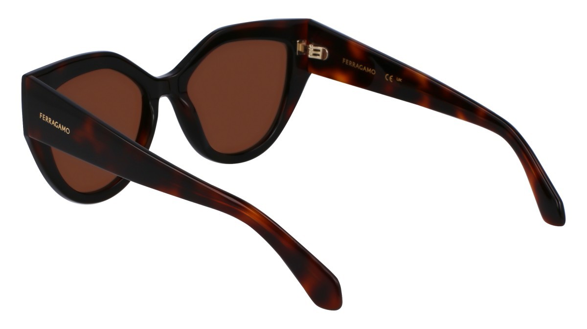 Sonnenbrillen Salvatore Ferragamo SF2004S (241) farbe tortoise/black form cat-eye gläser solid brown