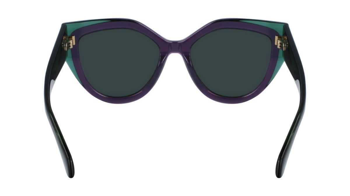 Sonnenbrillen Salvatore Ferragamo SF2004S (318) farbe transparent green/violet form cat-eye gläser solid green
