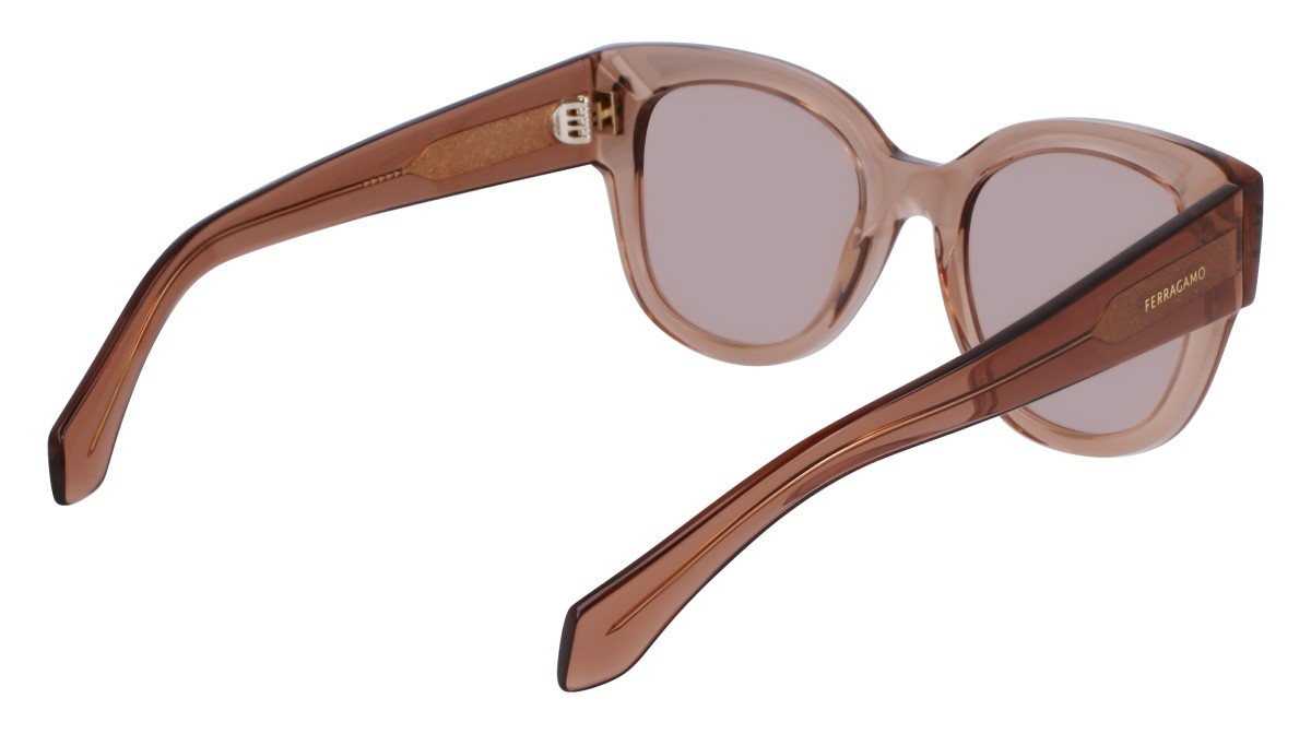 Sonnenbrillen Salvatore Ferragamo SF2007S (260) farbe transparent nude form pantos gläser solid brown