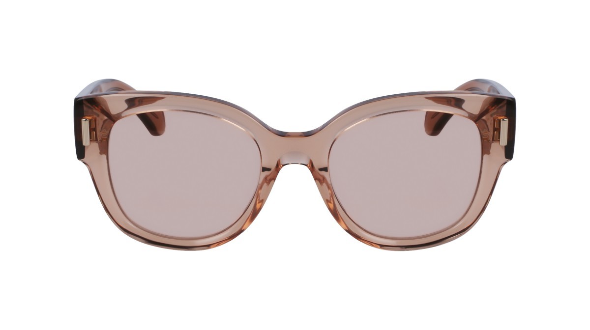 Sonnenbrillen Salvatore Ferragamo SF2007S (260) farbe transparent nude form pantos gläser solid brown