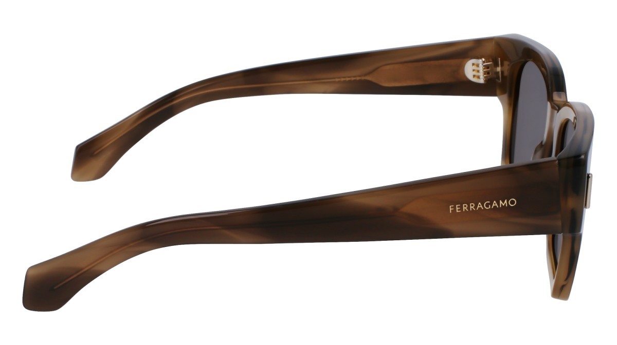 Sonnenbrillen Salvatore Ferragamo SF2010S (319) farbe striped khaki form quadratisch gläser solid brown