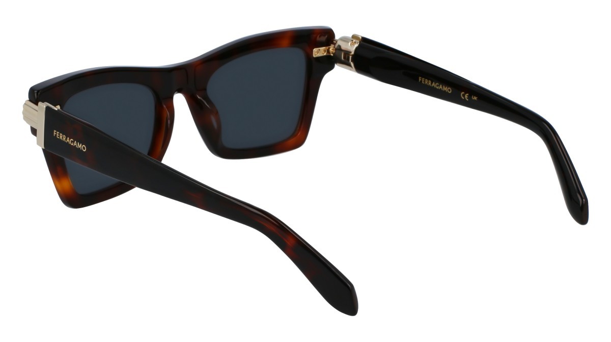 Sonnenbrillen Salvatore Ferragamo SF2013S (240) farbe torotise form rechteckig gläser solid grey